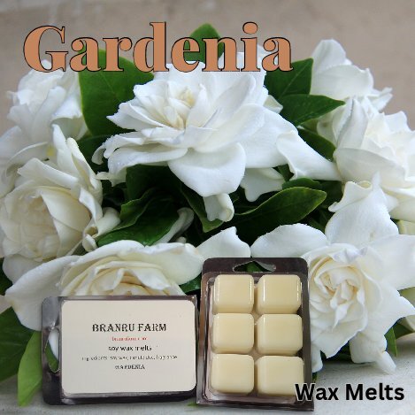 Gardenia Wax Melts
