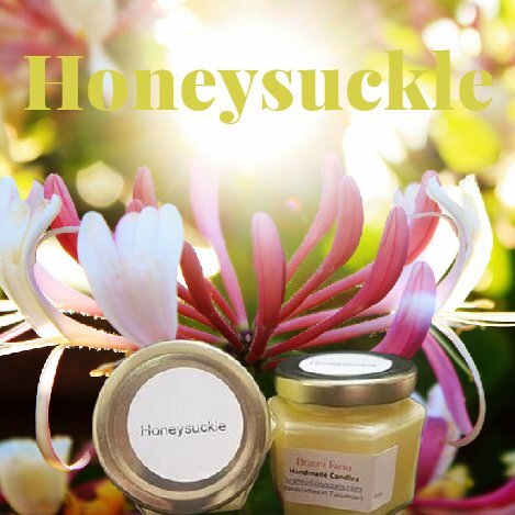 Honeysuckle Candle