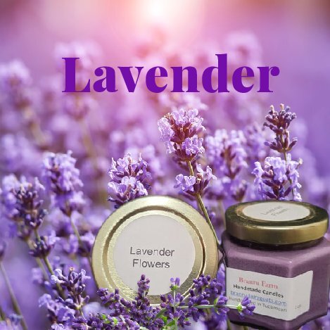 Lavender Candle