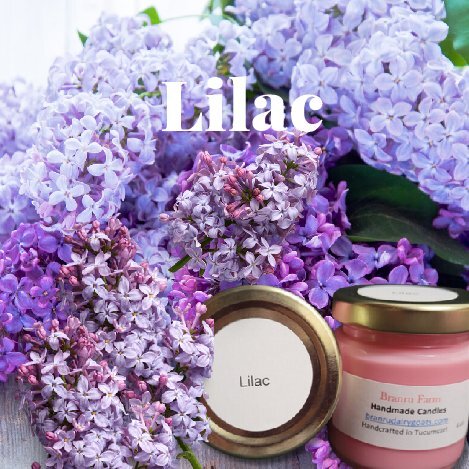 Lilac Candle