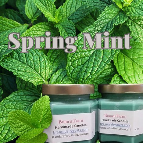 Spring Mint Candle