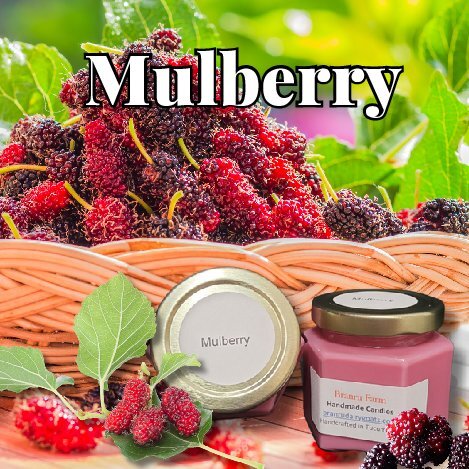 Mulberry Candle