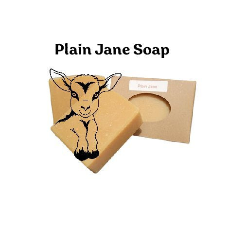 Plain Jane Goat's Milk Soap