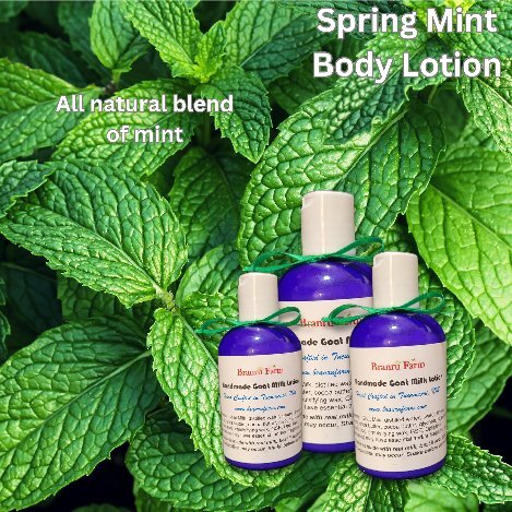 Spring Mint Goat's Milk Body Lotion