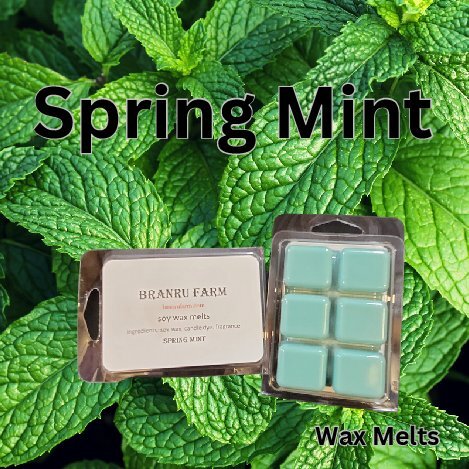 Spring Mint Wax Melts