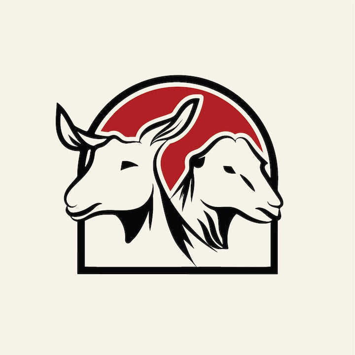 Goat Milk Soap Versus Commercial Soap